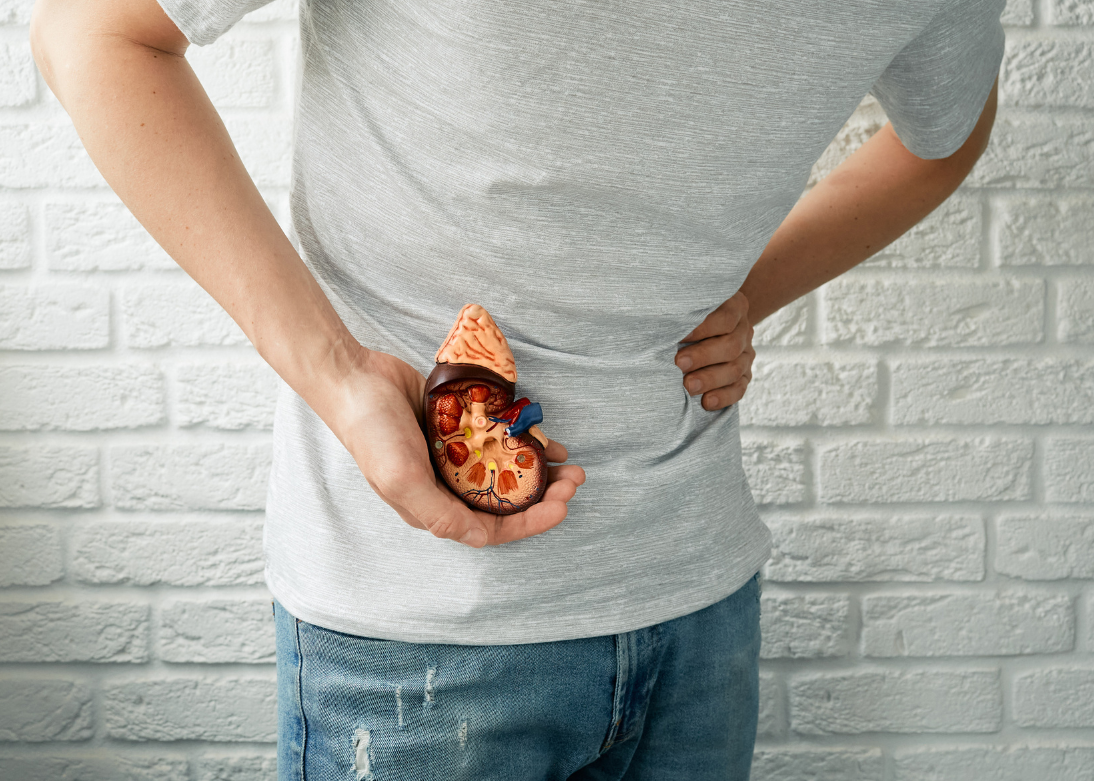 Kidney and Liver Diseases